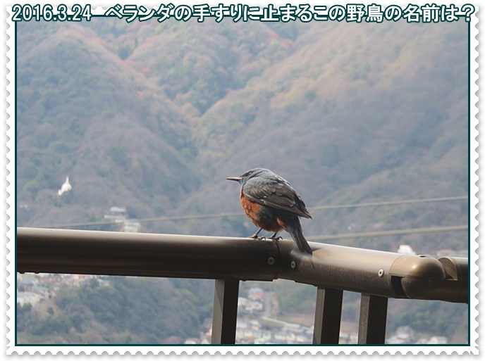 a0052666_16251080.jpg