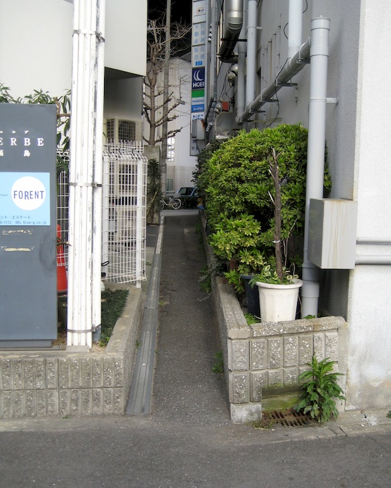 b0057679_8532021.jpg