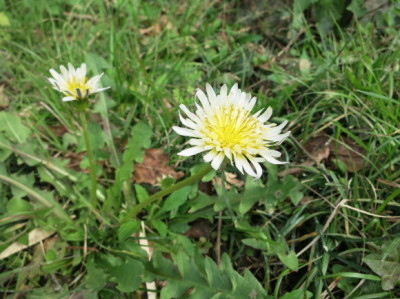 e0012580_23005642.jpg