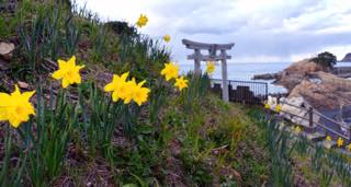 昨日の午後はロケハンをかねて岩美町へ.....撮影で..._b0194185_22244879.jpg