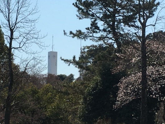 b0336787_22343635.jpeg