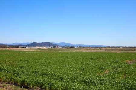 中山道3回目、野洲から豊郷へ　（その1）_b0223592_2354555.jpg