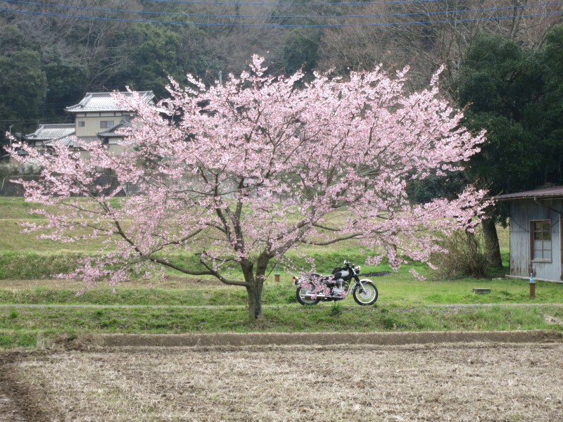 霰と小湊鐵道の里山トロッコ列車とアリランとガス欠_b0343094_17434004.jpg