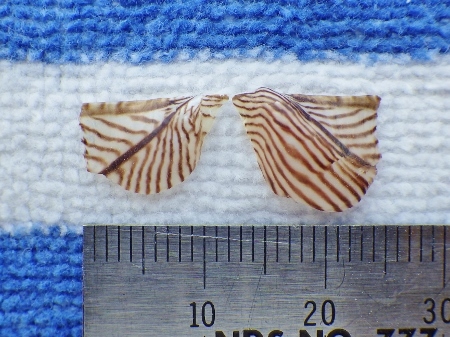 a0125598_21360010.jpg