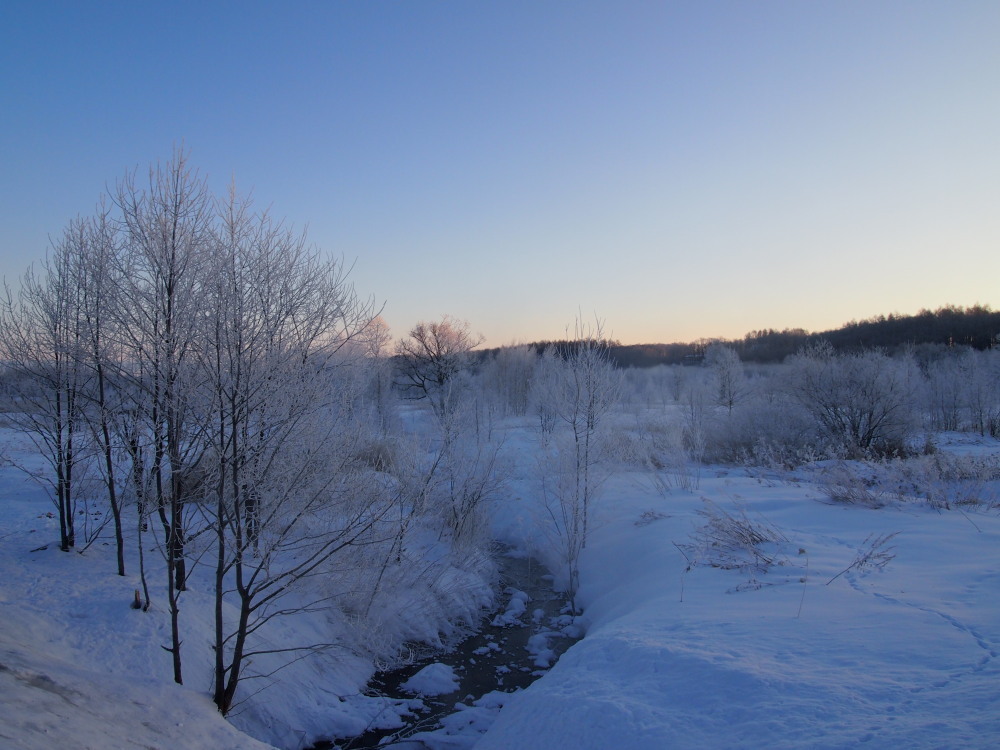 今朝はマイナス２４℃・・こんな日は「更別霧氷スポット」へ_f0276498_17224289.jpg