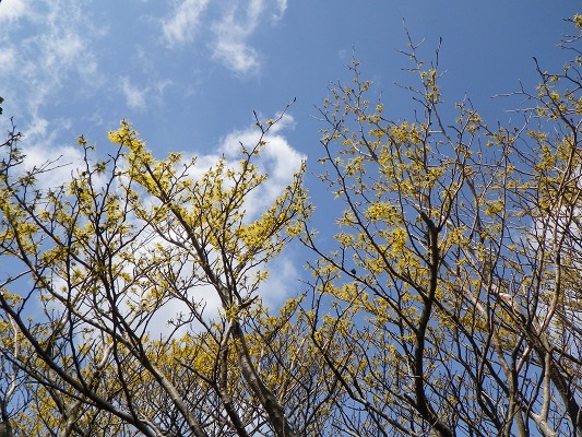 f0187402_17311059.jpg