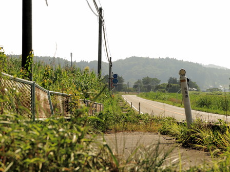 a0044103_72877.jpg