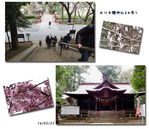 お花見ウォーク (見沼)(黒田清輝展)_c0051105_16405639.jpg
