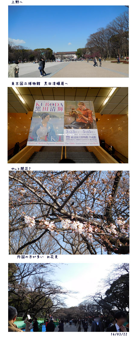 お花見ウォーク (見沼)(黒田清輝展)_c0051105_17193695.jpg