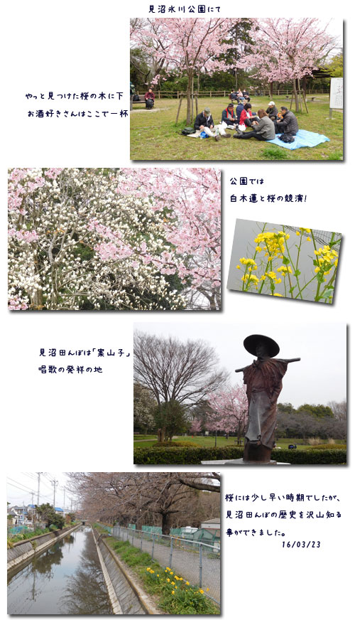 お花見ウォーク (見沼)(黒田清輝展)_c0051105_176285.jpg
