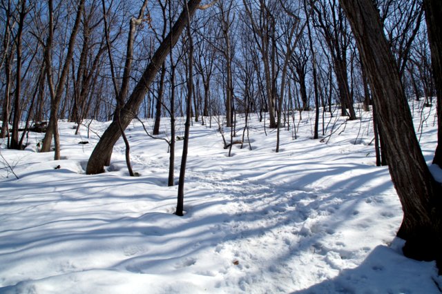 a0345007_16293990.jpg