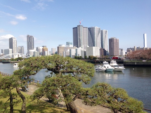 ビンカが咲いた多肉のコンテナ&東京庭園巡り_d0179410_2373273.jpg