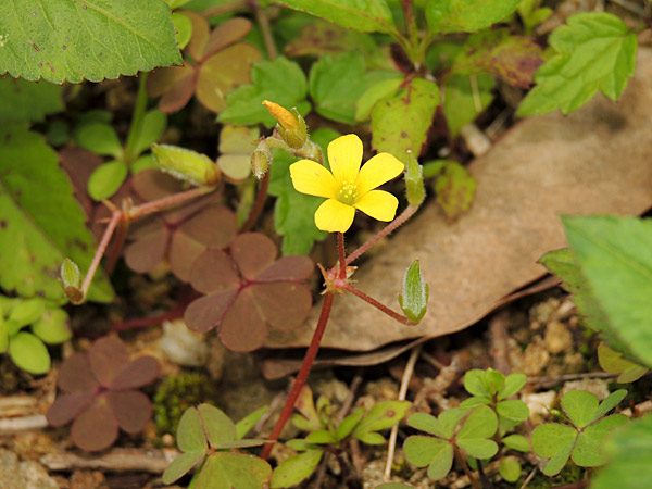 b0033112_1145970.jpg