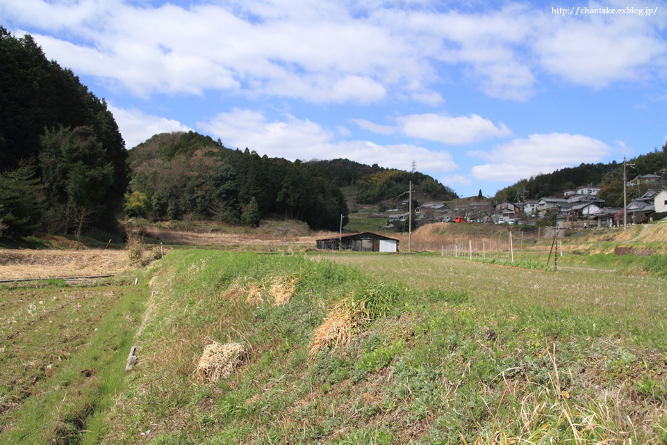 c0189013_2347392.jpg
