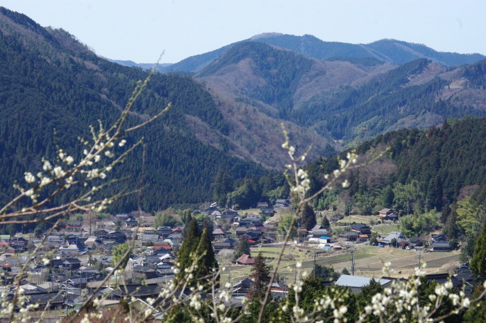 d0341514_09071729.jpg