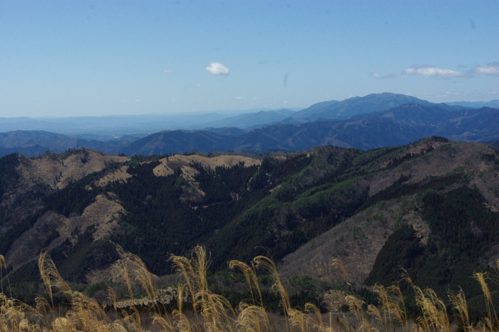 d0341514_09151069.jpg
