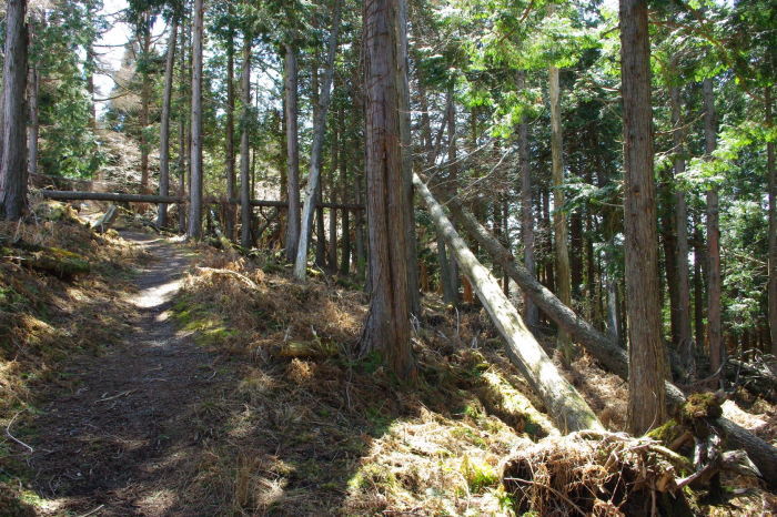 d0341514_09160095.jpg