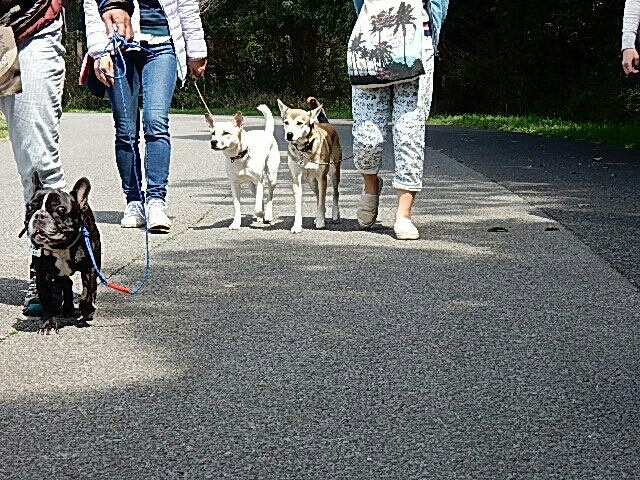 水元公園PW その2_b0274815_18390988.jpg