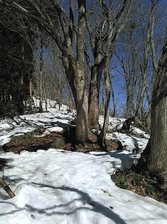 c0359615_18160852.jpg