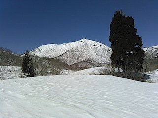 c0359615_18162139.jpg