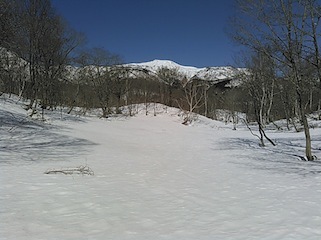 c0359615_18163286.jpg