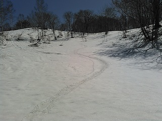 c0359615_18164432.jpg