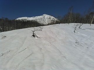 c0359615_18165725.jpg