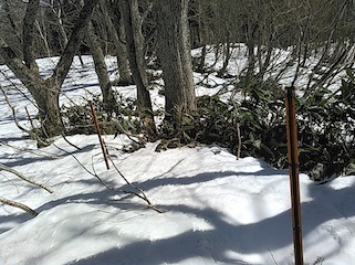 c0359615_18171115.jpg