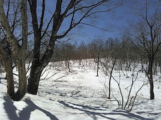 c0359615_18173927.jpg