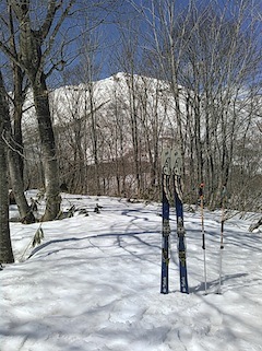 c0359615_18183389.jpg