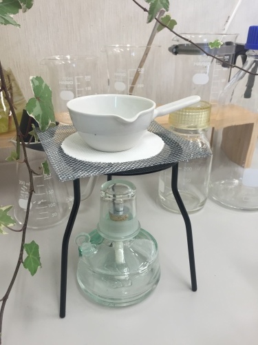 f0300415_15031761.jpeg