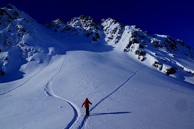 アラスカ遠征BCスキーツアー!!(スキー滑走編③)_a0353718_947451.jpg