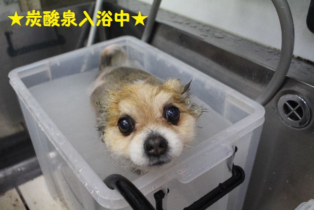 おはよ～ございます！！_b0130018_21345277.jpg