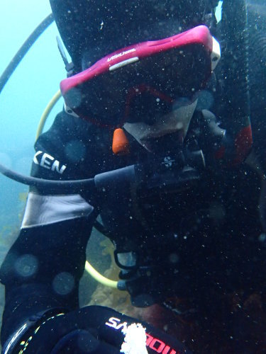 c0115421_20462270.jpg