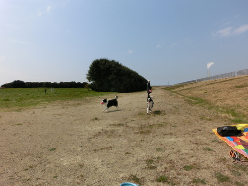 e0179321_1941481.jpg