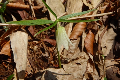 f0193521_10142426.jpg