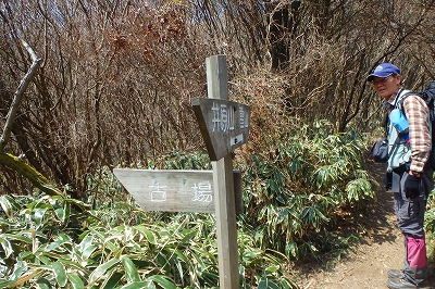 f0193521_1034669.jpg