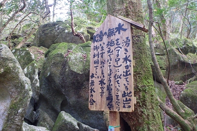 f0193521_1054241.jpg