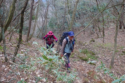 f0193521_11668.jpg