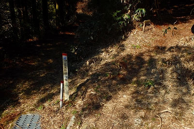 f0193521_9572646.jpg