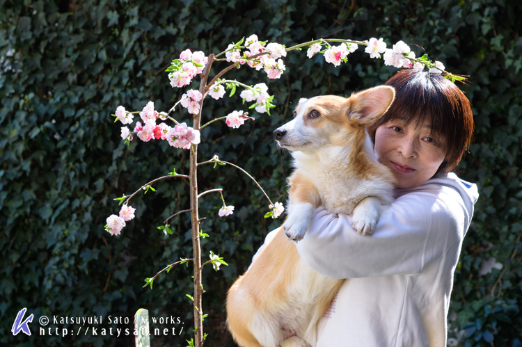 モモちゃんの花桃と_d0102523_22533078.jpg