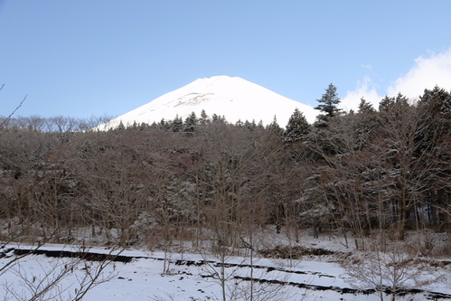 d0240223_8242672.jpg