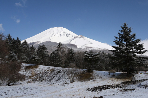 d0240223_8243315.jpg