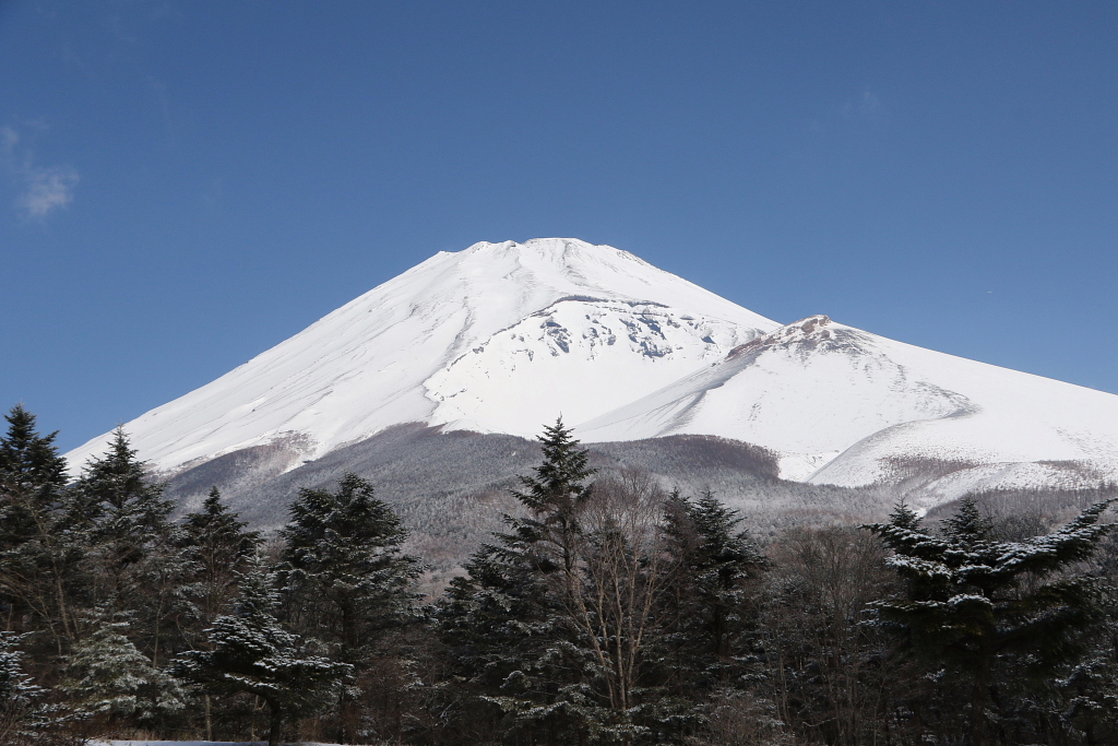 d0240223_8244164.jpg