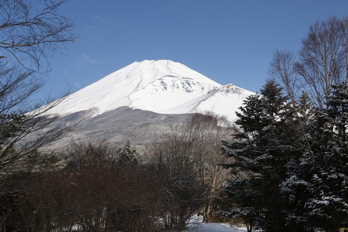 d0240223_8244983.jpg