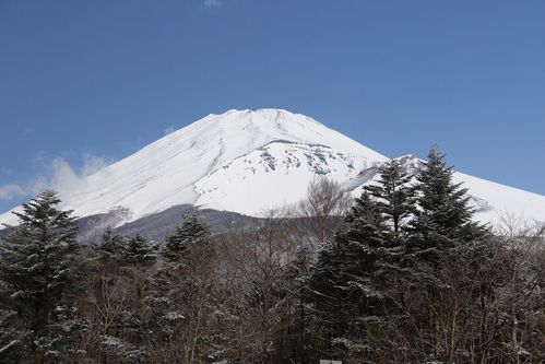 d0240223_8251346.jpg