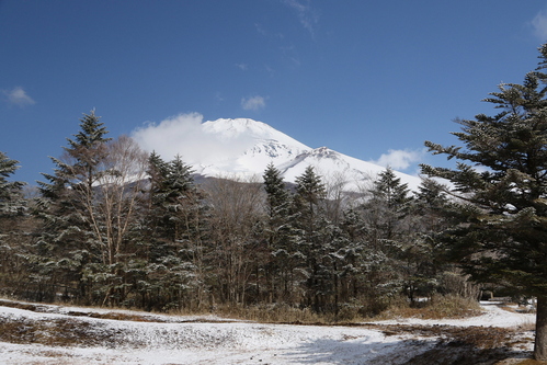 d0240223_8252916.jpg