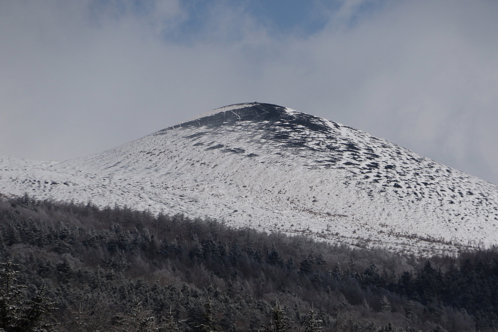 d0240223_8253928.jpg