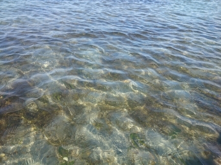 b0259124_16300864.jpg