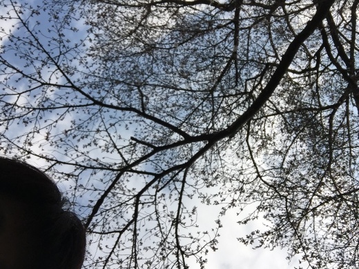 ポカポカ春がやってきた。_f0319325_15422908.jpeg